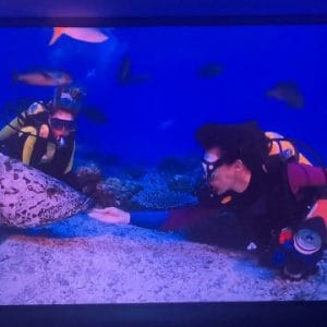 Smart Projector Paint Contrast