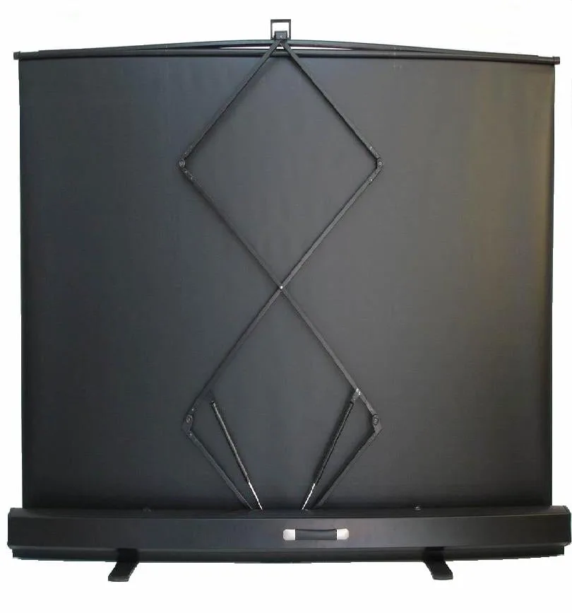 Pull up  Projection Screen